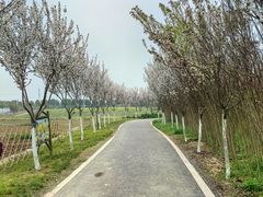 -武汉紫薇都市田园