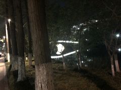 -桃花岛公园