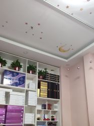 -香薇妮丝·定制减肥·身材管理