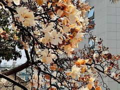 -秀·爱尔兰餐吧(上海路店)