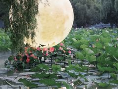 -北陵公园