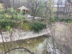 -井塘古村