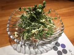 豆苗菜沙拉-稳座小料理(锦华街店)