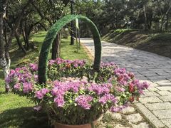 -青岛中山公园-索道售票处