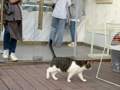 -UNI UNI(环亚凯瑟琳店)