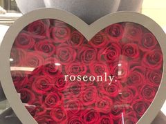 -ROSEONLY诺誓(国际广场购物中心店)