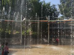 -南宫五洲植物乐园