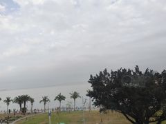 -金悦轩海鲜酒家(拱北店)