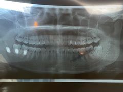 -浙江大学医学院附属第二医院(解放路院区)