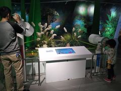 -佛山科学馆