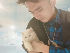 -飞行喵MR PILOT|猫舍·猫咖(静安大融城店)
