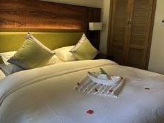 -洛阳白云山景区