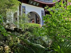 -十八棵（老龙井）御茶园(老龙井店)