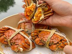 -小陆莲花蟹园农家乐(莲花岛店)