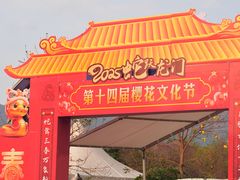 -天适樱花悠乐园