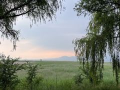 -野鸭湖国家湿地公园