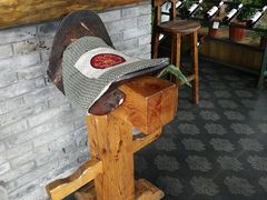 -慢丽江·云南野生菌土鸡锅(西山店)