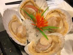 元贝-鲜入围煮花胶鸡海鲜火锅