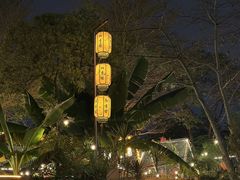 -陶缘一号·四季缘·老字号顺德菜·户外婚礼家宴(西滘店)