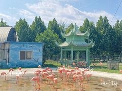 -秦皇岛野生动物园