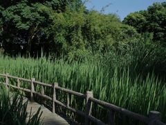-成都市活水公园