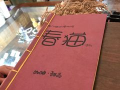 -猫咪博物馆(顶澳仔猫街店)