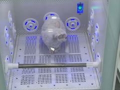 -爱洗澡的猫(望京店)