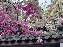 -深圳国际园林花卉博览园