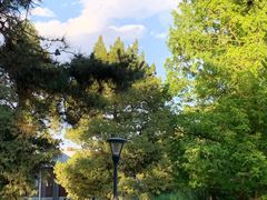 -国家植物园南园