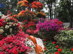 -广州市白云山风景名胜区