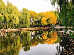 -玲珑塔公园