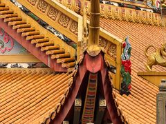 -东莞市大岭山森林公园