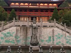 -江西阳明山国家森林公园