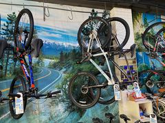 -GIANT捷安特自行车专卖店(金桥台儿庄路店)