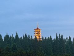 -宜兴龙背山森林公园