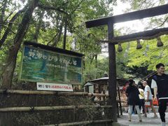 -野宫神社