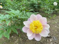 -仁和公园(顺义区)