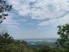-龙井壹号·茶缘山景宴(龙井村店)
