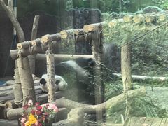-黔灵山公园