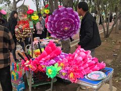 -曹州牡丹园