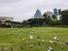 -白鹭洲公园