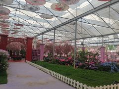 -广东花都香草世界旅游度假区