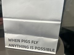-WHEN PIGS FLY当猪飞