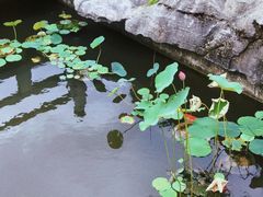 -东方艺术博物馆