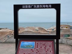 -广东惠东海龟国家级自然保护区