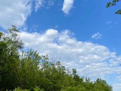 -永定河休闲森林公园