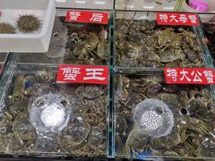 蟹王大闸蟹-王四营海鲜市场