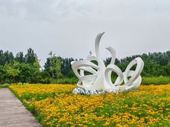 -东郊湿地公园