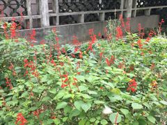 -江南大学附属医院(北院区)