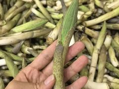 -三锅莊·牦牛肉火锅·香格里拉特色藏餐宴请餐厅(昆明创始店)
